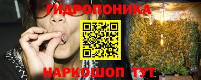 ECSTASY Будённовск