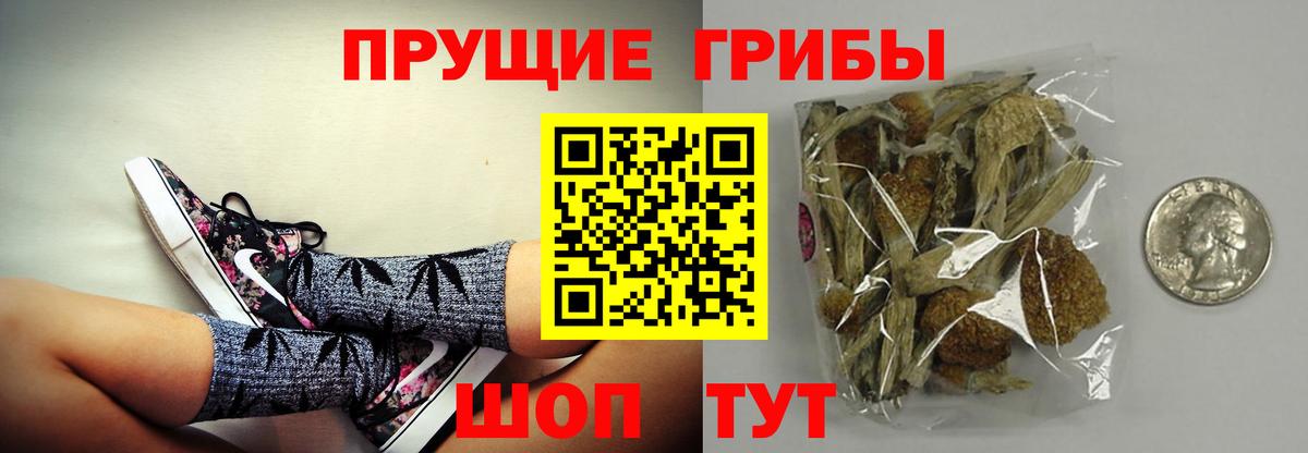 Псилоцибиновые грибы Magic Shrooms Геленджик